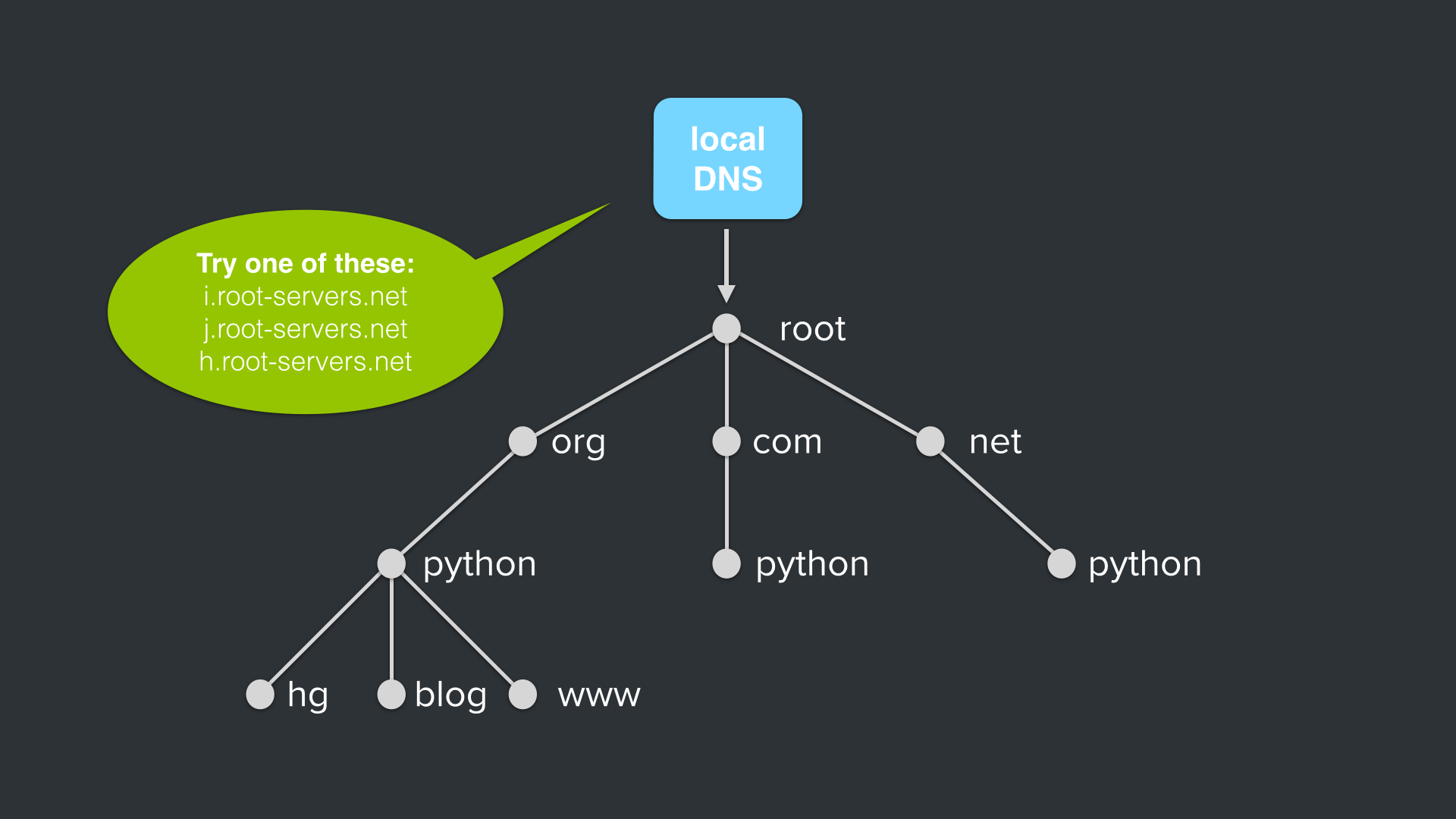 python.org DNS Query: local dns