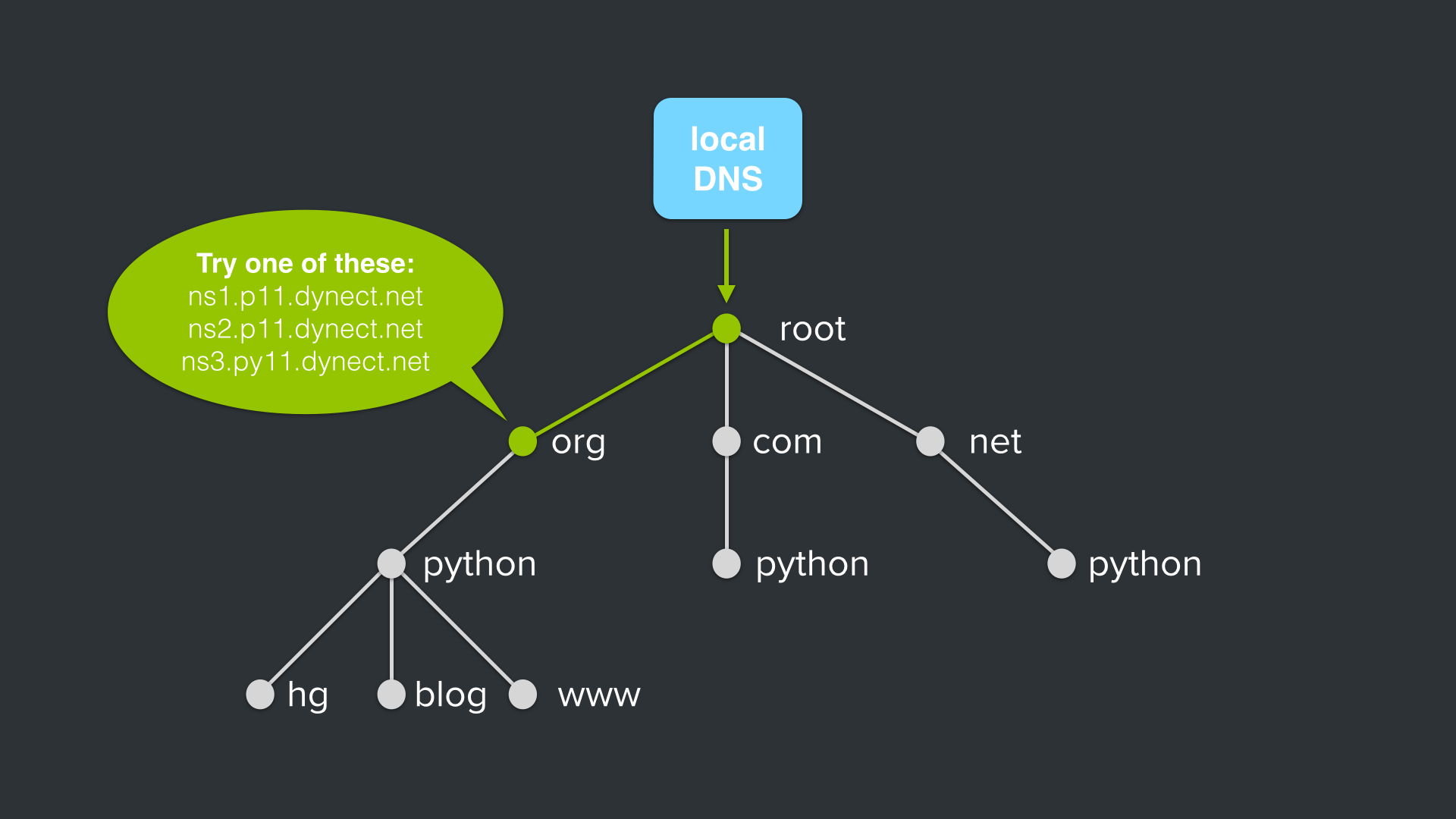 python.org DNS Query: org dns