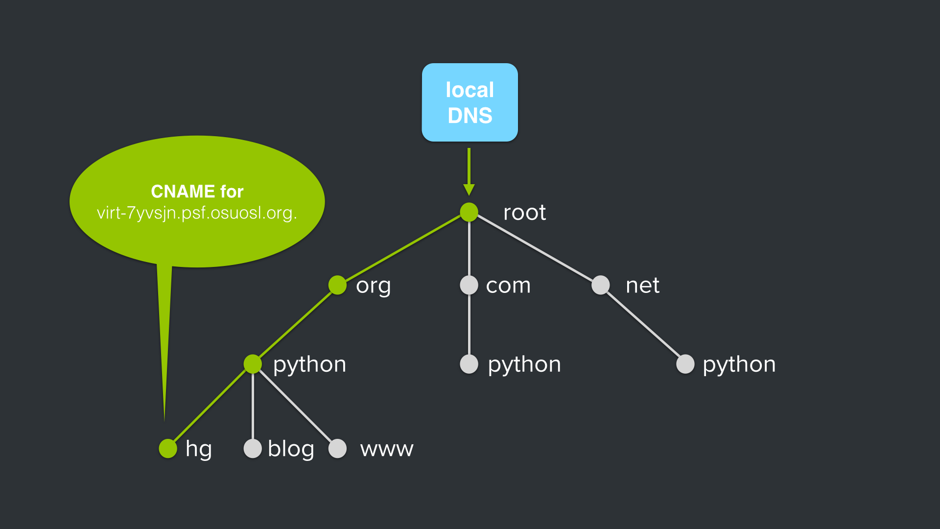 python.org DNS Query: hg.python.org dns